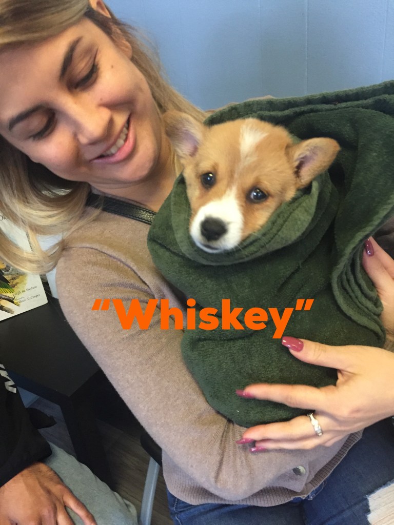 whiskey